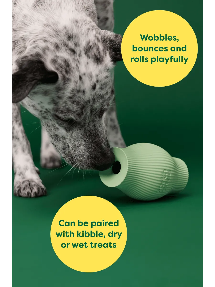 Treat Toy