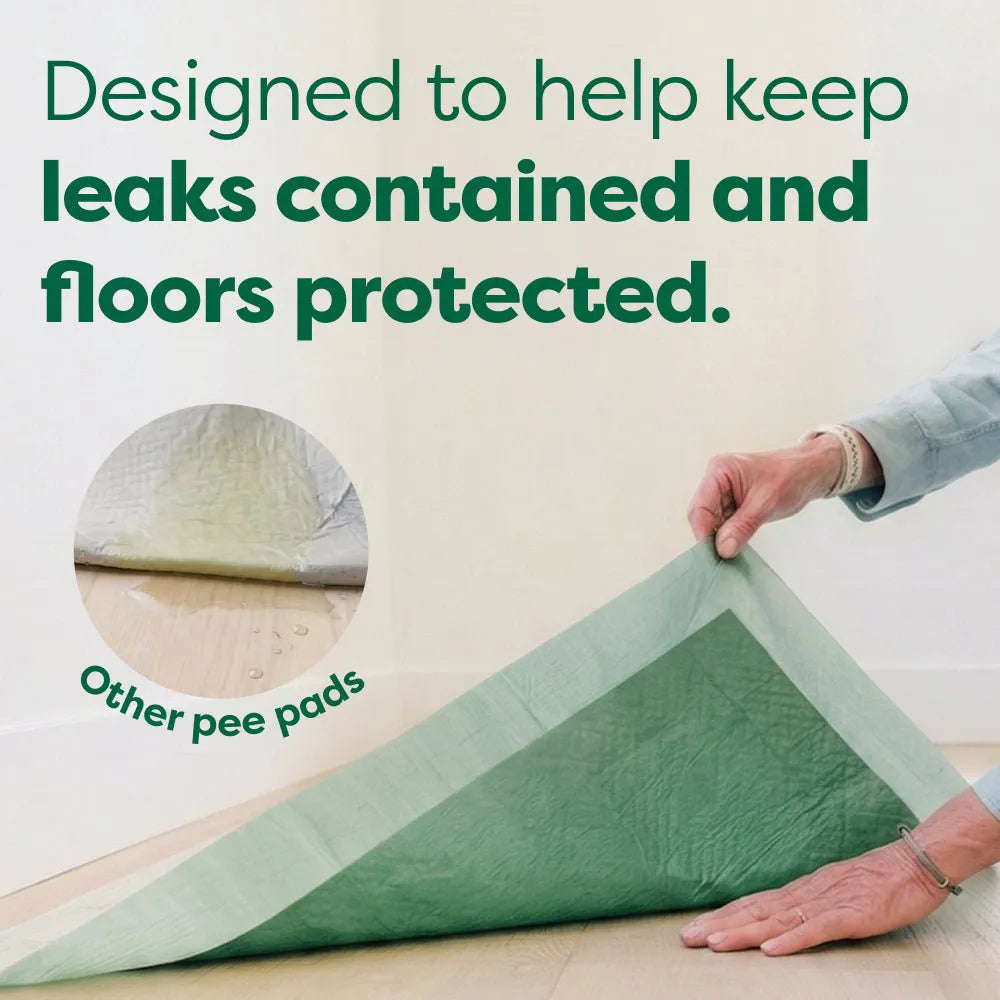 Ultra Absorbent Dog Pee Pads with AbsorbShield™+ Technology – 2X Faster Absorption