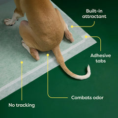 Ultra Absorbent Dog Pee Pads with AbsorbShield™+ Technology – 2X Faster Absorption