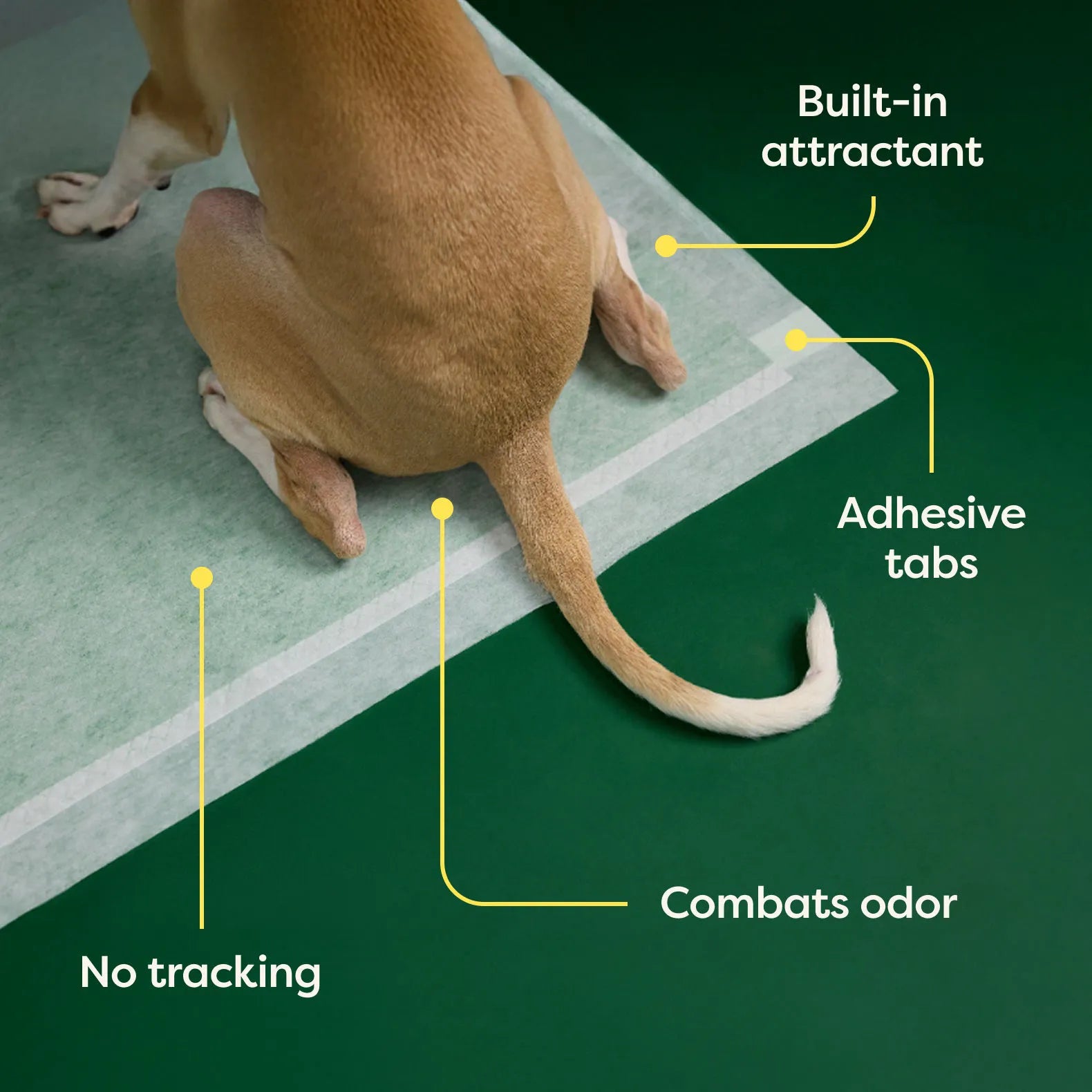 Ultra Absorbent Dog Pee Pads with AbsorbShield™+ Technology – 2X Faster Absorption