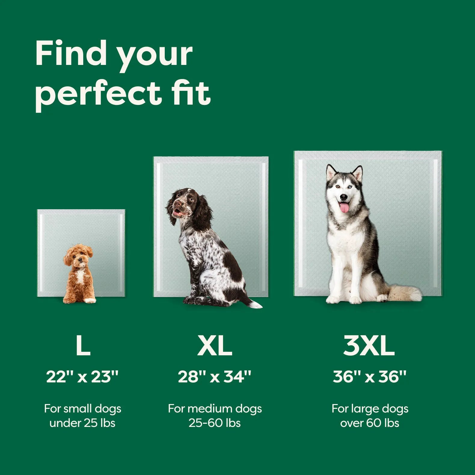 Ultra Absorbent Dog Pee Pads with AbsorbShield™+ Technology – 2X Faster Absorption